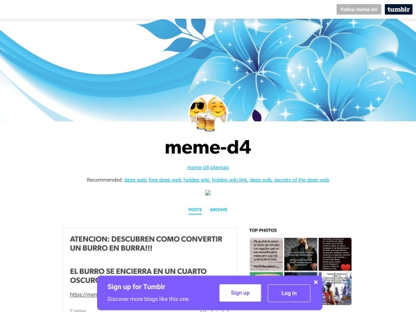 meme-d4.tumblr.com